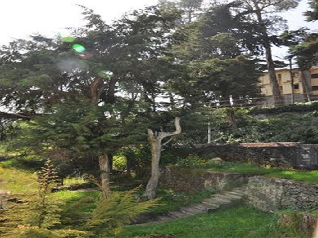 Hill Heaven Home Stay Kodaikanal Exteriér fotografie